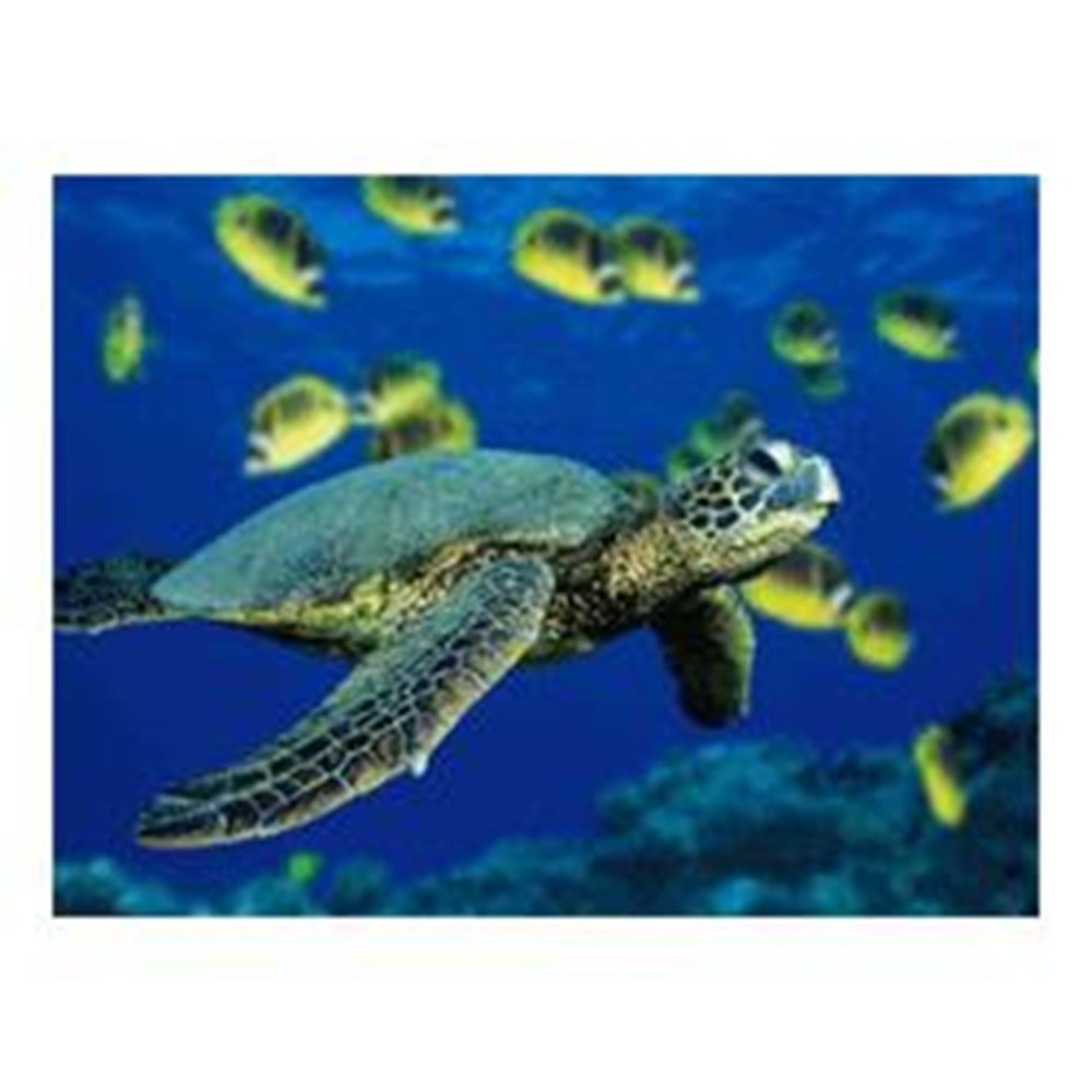 FREELINK (E96203) OPTICAL UYUMLU (KAPLUMBAĞA) MOUSE PAD 